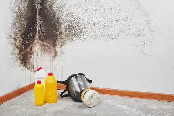 Best Residential Mold Removal  in Jnstown, OH