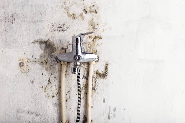 Best Office Mold Removal Services  in Jnstown, OH
