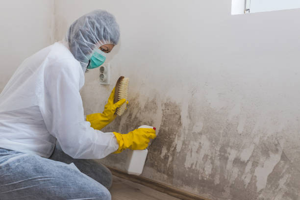 Water Damage Restoration in Johnstown, OH