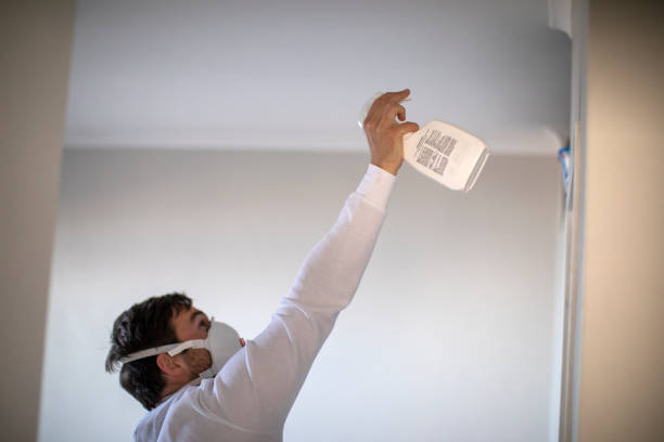 Professional Mold Removal in Johnstown, OH