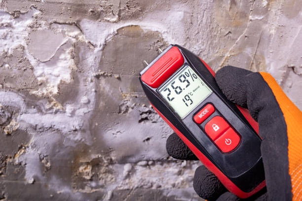 Best Mold Damage Repair  in Jnstown, OH