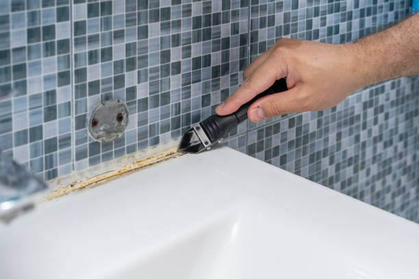 Office Mold Removal Services in Johnstown, OH
